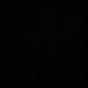 Meet your Posher, Sofia